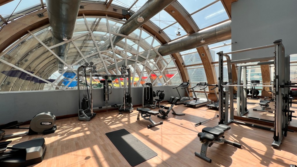 Ritz-Carlton Santiago - Gym