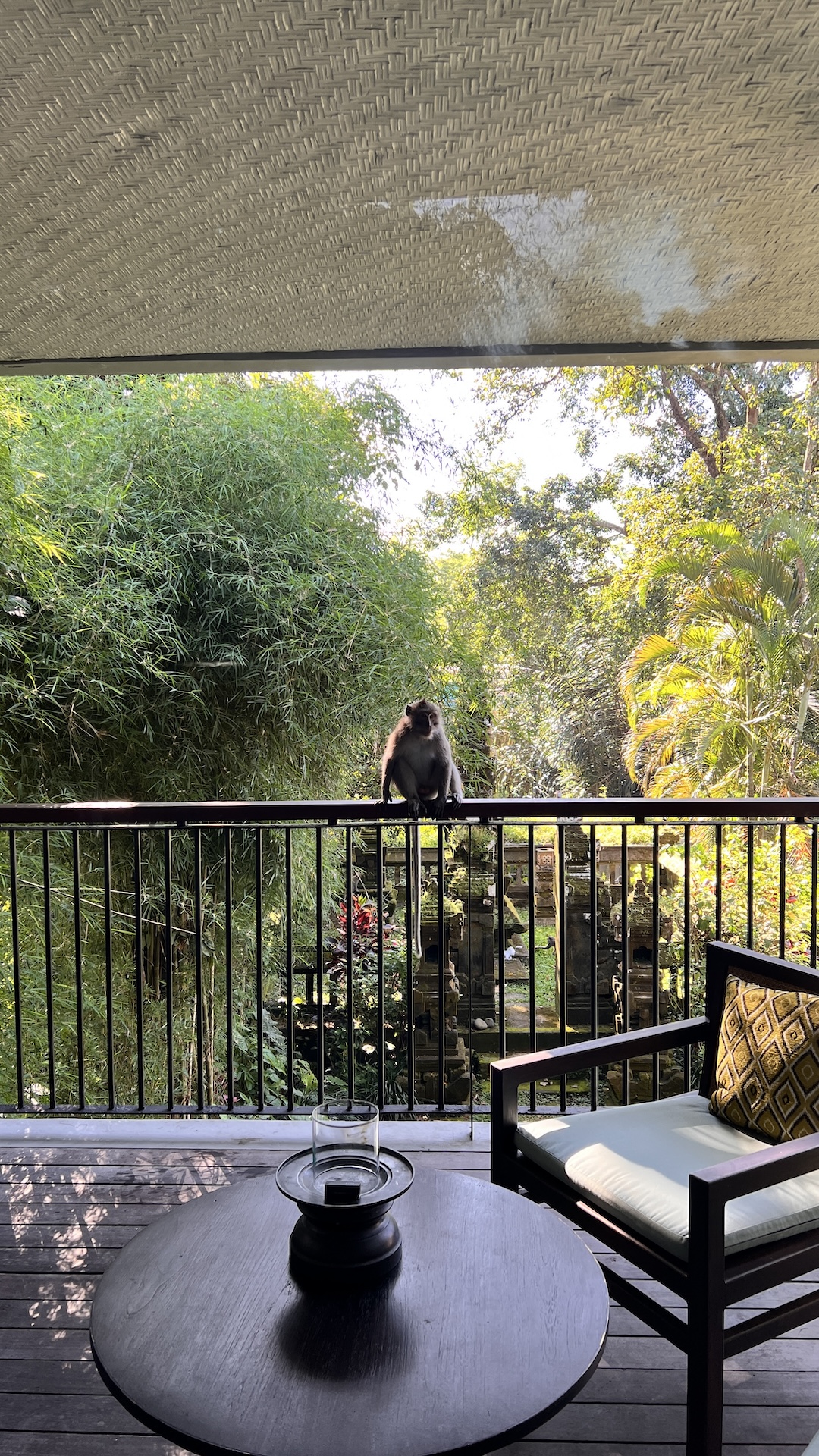 Alila Ubud - Balcony