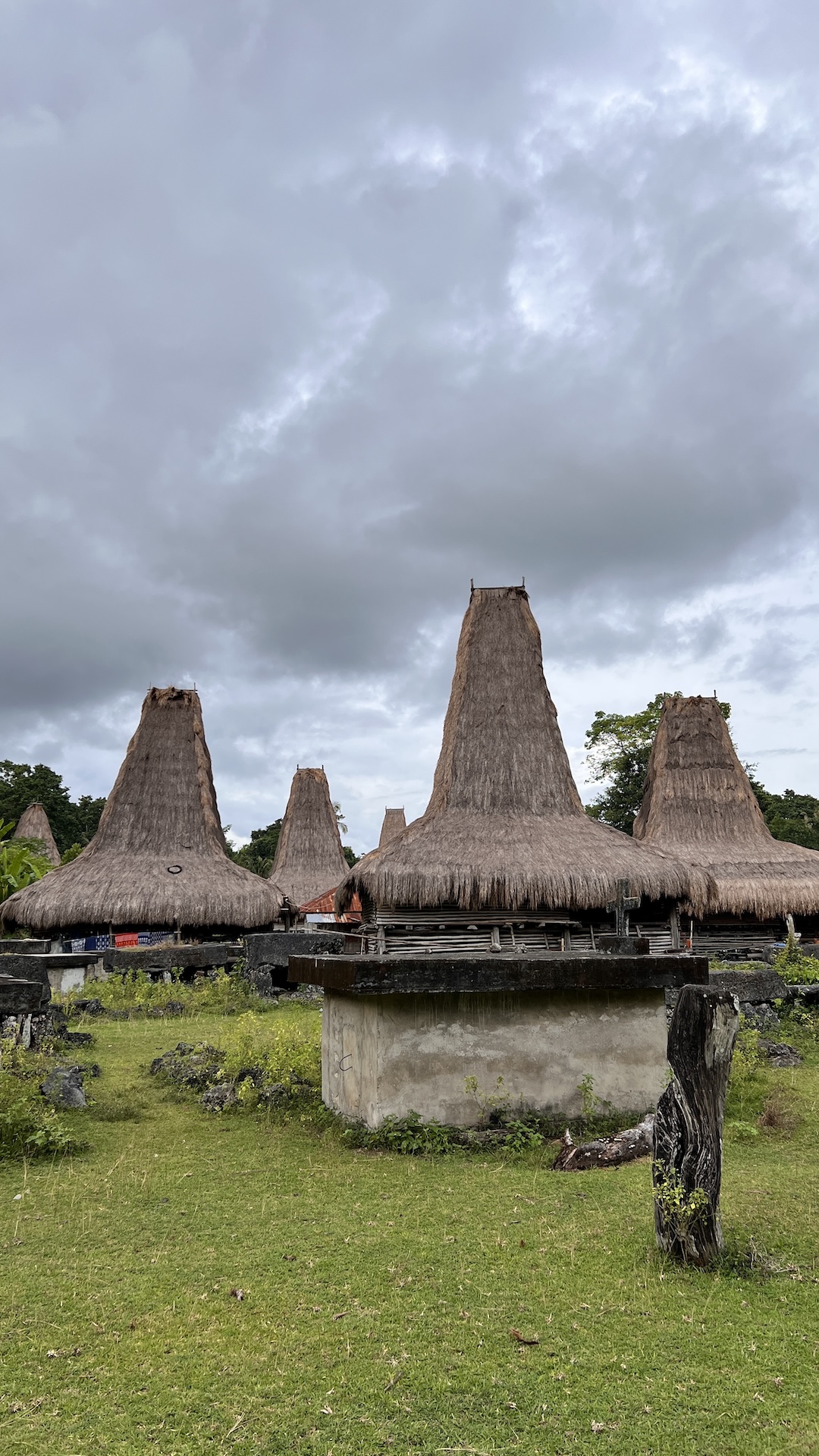 Sumba - Traditional Village
